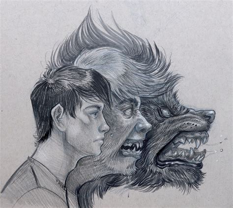 Werewolf Transformation Drawings