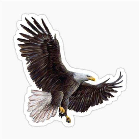 "American Bald Eagle" Sticker for Sale by Skyviper | Redbubble