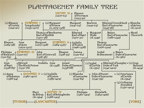 Plantagenet family tree | Genealogy history, Family tree, Royal family ...