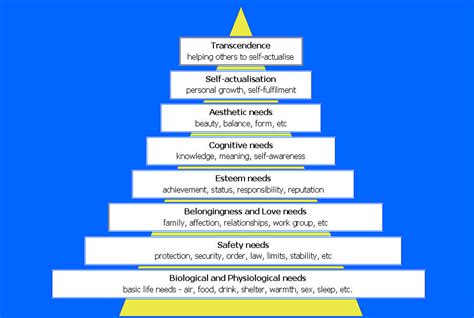 Maslow's Hierarchy Of Needs And Examples