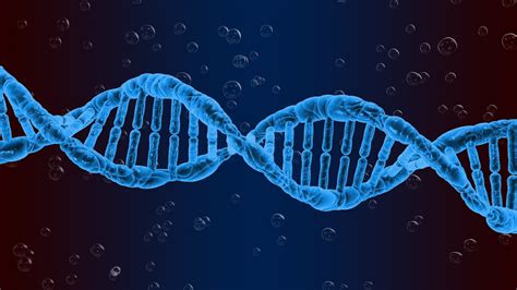 DNA Structure – Classroom Partners