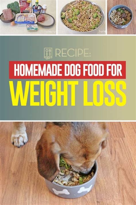 Trim Your Pooch's Pounds with These Top 10 Dog Food Weight Loss Recipes ...