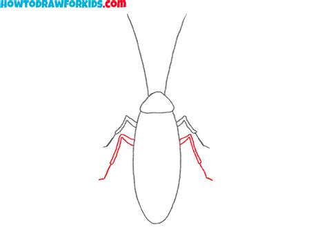 How to Draw a Cockroach - Easy Drawing Tutorial For Kids