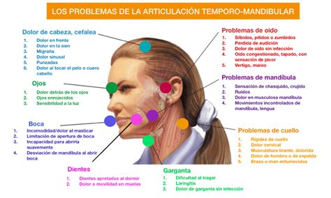 Dolor De Oido Y Garganta Por Bruxismo - Rúbrica de Salud