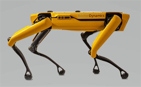 Boston Dynamics Spot / Boston Dynamics Will Finally Sell A Robot But ...