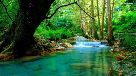 Forest River Wallpapers - Top Free Forest River Backgrounds ...