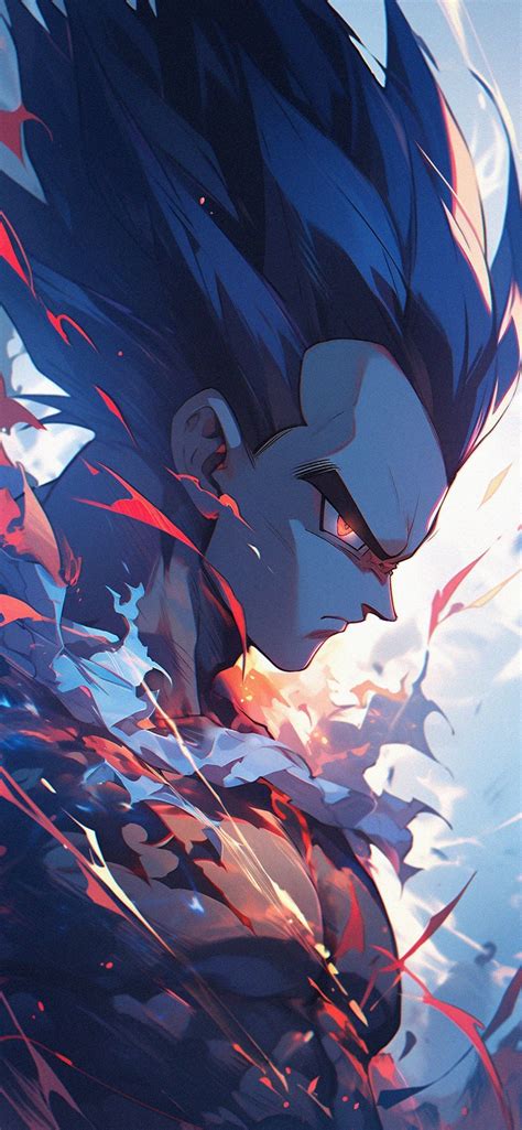 Vegeta Pride Wallpapers - Top Free Vegeta Pride Backgrounds ...