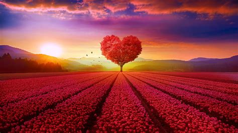 Heart tree Wallpaper 4K, Flower garden, Red flowers