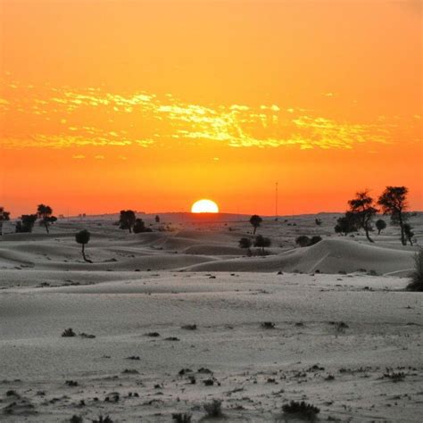 Sunset in Dubai desert | Por do sol, Sol nascente