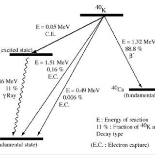 Decay scheme of Potassium 40. | Download Scientific Diagram