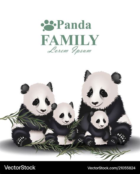 Panda family cute animals detailed Royalty Free Vector Image