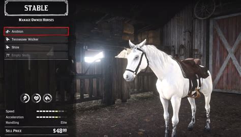 How-to Get the Fastest & Rarest Horses in Red Dead Redemption 2