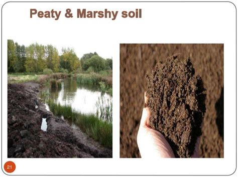 Types of soil