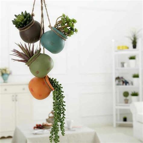 15 Best Hanging Indoor Planters for Your Home - Paisley Plants