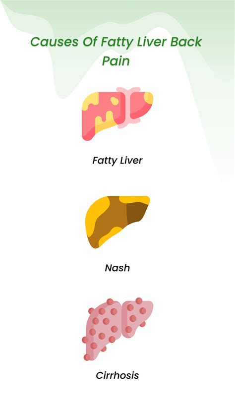 The comprehensive guide of fatty liver back pain: Strategies and ...