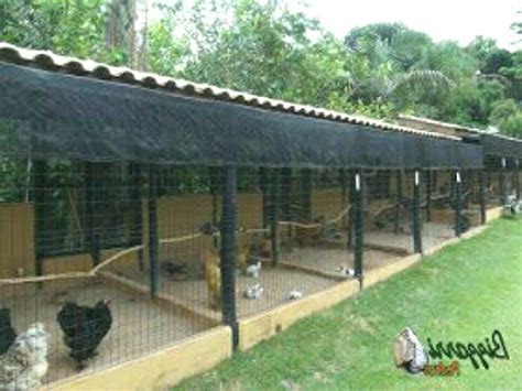 Chicken cages, Poultry farm, House design | Hühner, Hühnerhaus, Geflügel