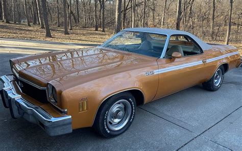 1973 Chevrolet El Camino SS | Barn Finds