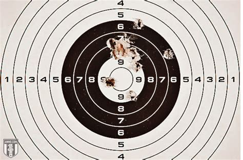 Best Sniper Ammo To Make Every Shot Count (Long Range Shooting)