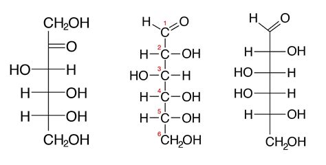 III. Carbohydrates, Structures and Types – A Guide to the Principles of ...