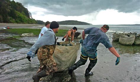 Geoduck farming faces challenge | The Spokesman-Review