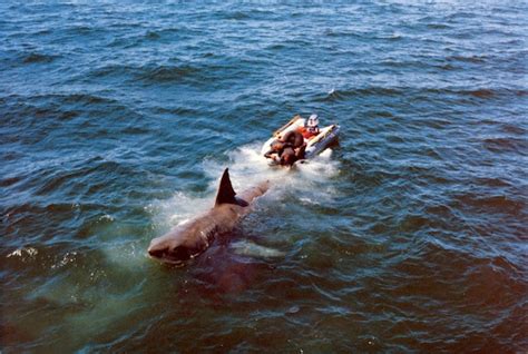 21 Amazing Behind the Scenes Photos From the Making of 'Jaws' (1975 ...