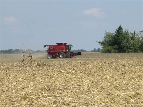 Soybean Harvest - Cultivation Of Crops