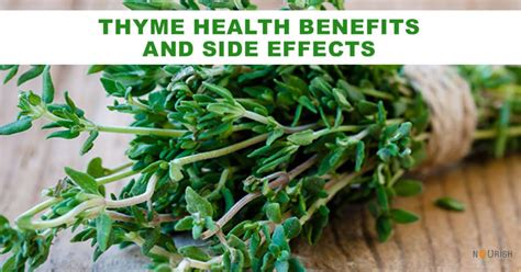 Thyme health benefits & side effects - NourishDoc