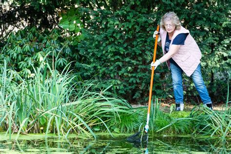 Pond Care in Summer - 7 Helpful Tips - pondlovers.com