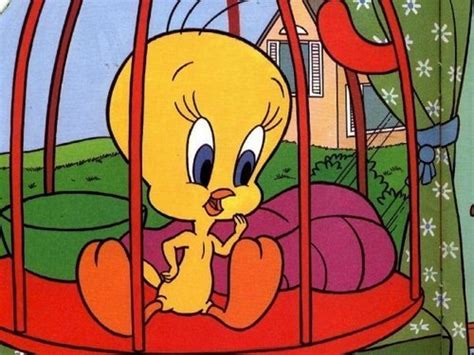 Tweety Bird, Bad Bird - Tweety Bird Photo (5953201) - Fanpop