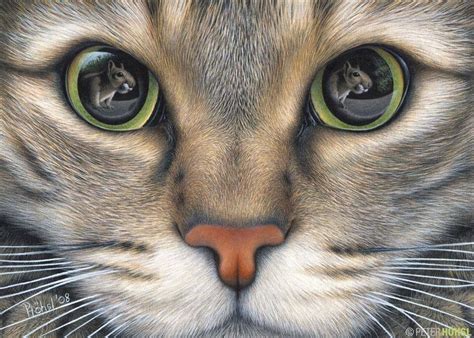 Beautiful cat done in colored pencil-love the mouse detail in eye | Cat ...