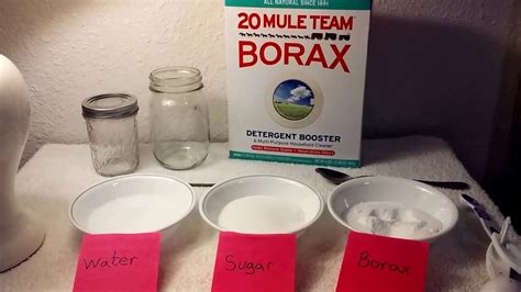 Diy Ant Trap No Borax - A Contented, Common Life: Homemade Recipe: Ant ...