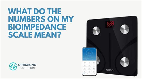 Bioimpedance Scales and Body Composition Analysis | Optimising Nutrition