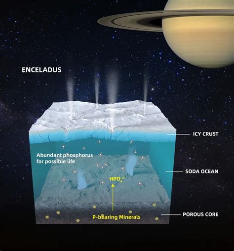 Life on Enceladus