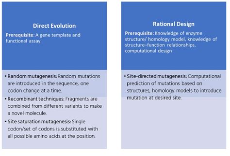 Various approaches to protein engineering. | Download Scientific Diagram