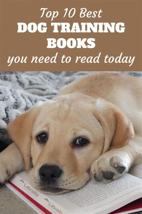 10 Best Dog Training Books You Need To Read Today