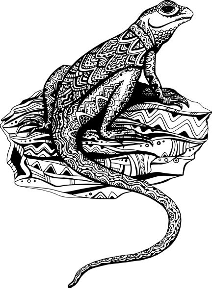 Free lizard vector free vector download (79 Free vector) for commercial ...