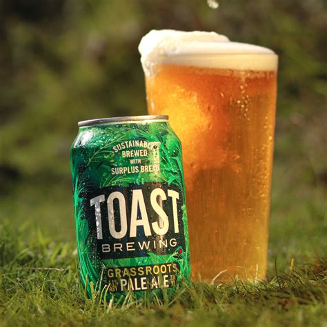 Browse and buy award-winning craft beer | Toast Brewing