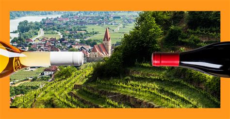 8 of the Best Red Wines From Austria | VinePair