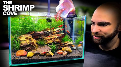 The Shrimp Cove: New Neocaridina Nano Tank For Freshwater Cherry Shrimp ...