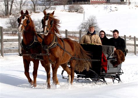 Sleigh rides | Horses, Sleigh ride, One horse open sleigh