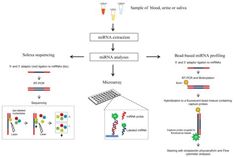 Main methods used for circulating miRNA detection. | Download ...