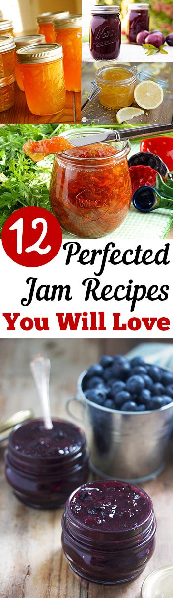 12 Amazing Jam Recipes You Have to Try - My List of Lists