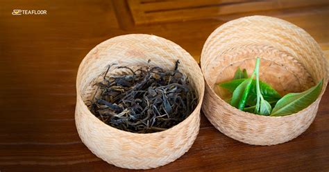 6 Facts and their Reasons about Assam Tea - Teafloor blog