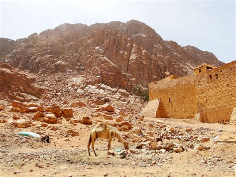 Mount Sinai - WorldAtlas