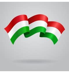 Hungarian flag colors painting Royalty Free Vector Image