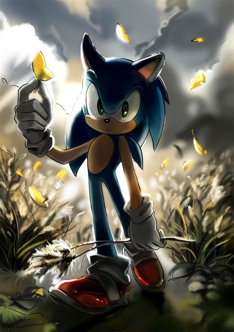 Sonic the Hedgehog Fan Art: autumn | Sonic the hedgehog, Superhero art ...