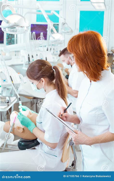 Students during Dentistry Exam Stock Photo - Image of women, manikin ...