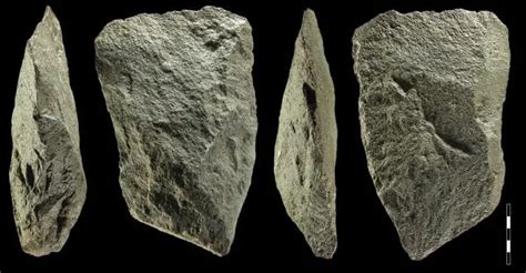 Hundreds of stone tools used by homo erectus discovered in abandoned ...