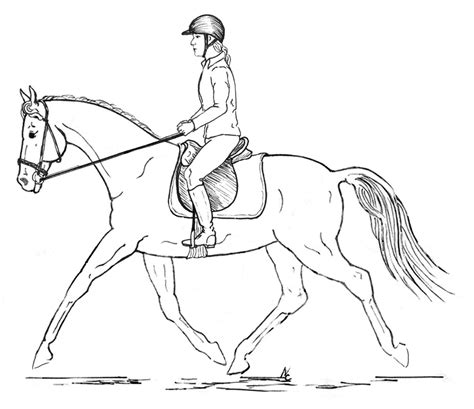 Horse And Rider Drawing at GetDrawings | Free download