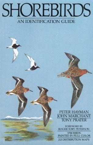 Shorebirds: An Identification Guide to the Waders of the World - Field ...